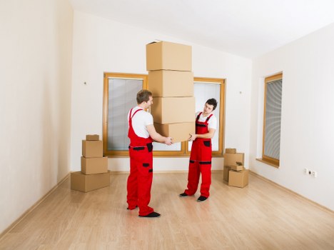 Detailed guide to the packing process with professional tips.